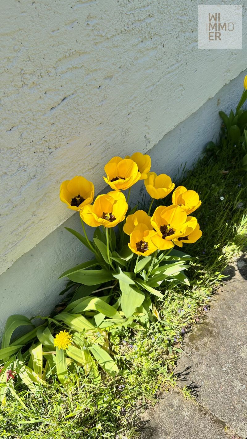 Gartenimpressionen (2)