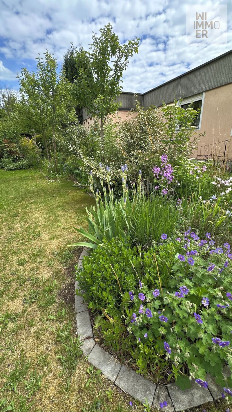 Gartenimpressionen (3)