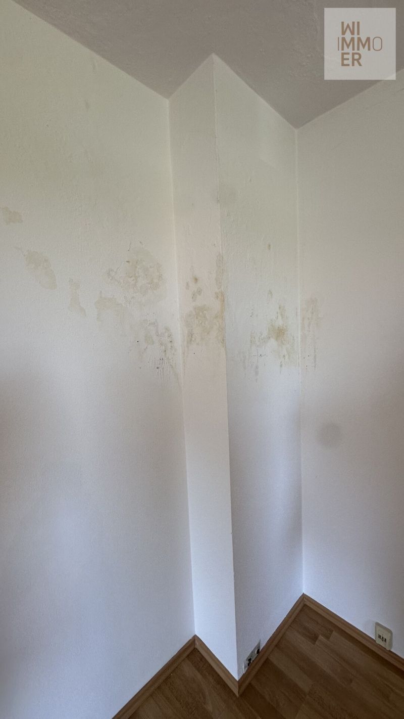 Östlicher Gebäudeteil OG - Kaminversottung:Stockflecken (1)