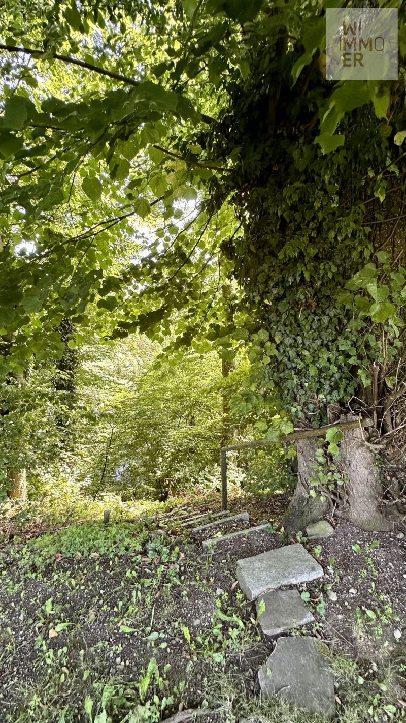 Zugang zum Waldgrundstück