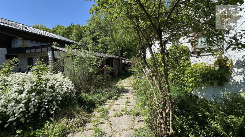 Zuweg zum Garten (1)