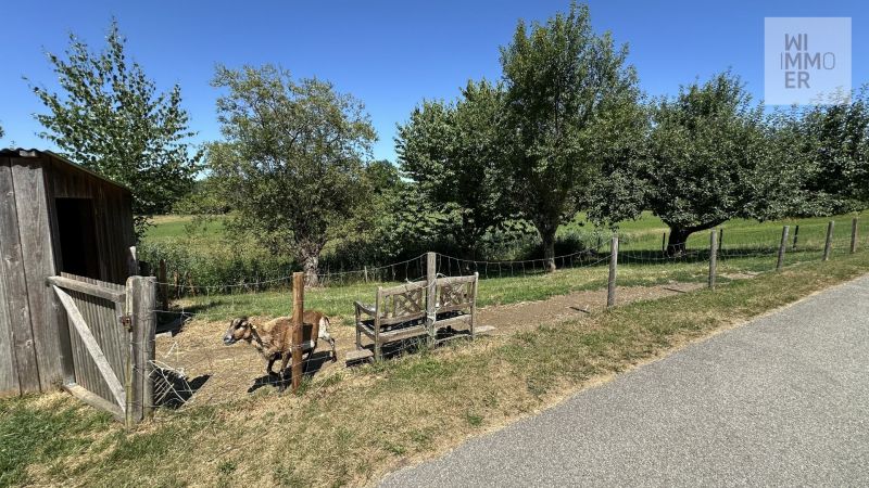 Grundstück gegenüber (2)